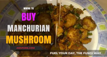 Discover the Best Places to Buy Manchurian Mushrooms Online & Locally