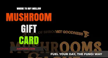 Best Places to Purchase Mellow Mushroom Gift Cards Online & In-Store