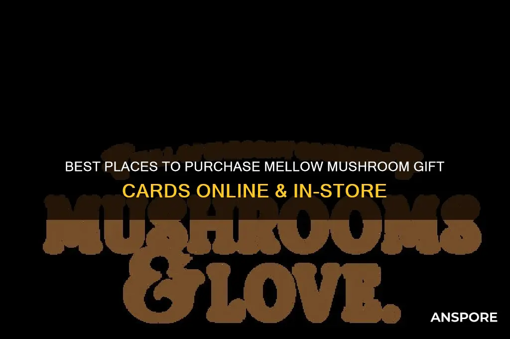 where to buy mellow mushroom gift card