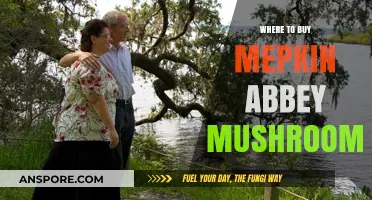 Discover Mepkin Abbey Mushrooms: Top Places to Purchase Fresh Varieties