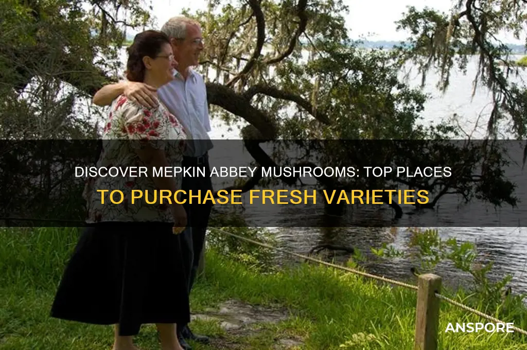 where to buy mepkin abbey mushrooms