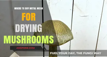 Best Places to Purchase Metal Mesh for Mushroom Drying