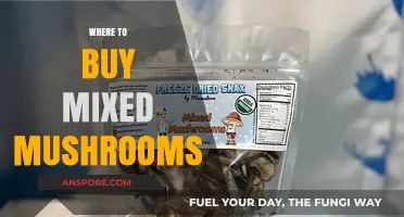 Discover the Best Places to Buy Mixed Mushrooms Online and Locally