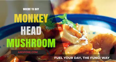 Discover the Best Places to Buy Monkey Head Mushrooms Online