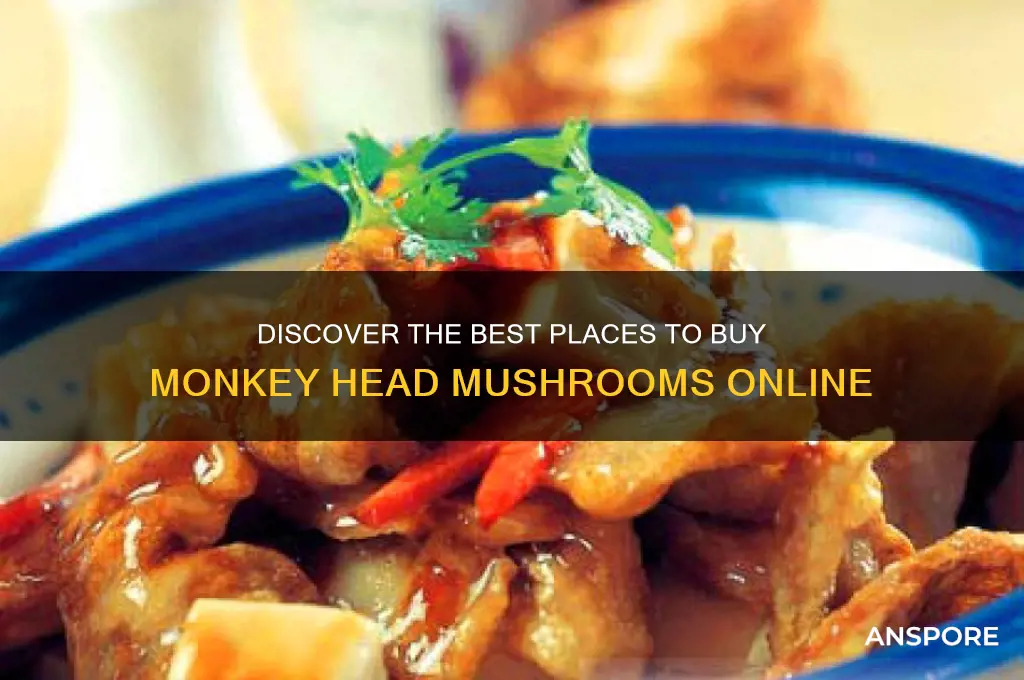 where to buy monkey head mushroom