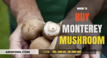 Discover the Best Places to Buy Monterey Mushrooms Locally and Online