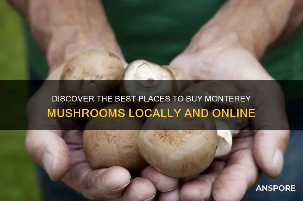 where to buy monterey mushrooms