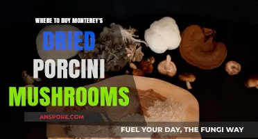 Discover the Best Sources for Monterey's Dried Porcini Mushrooms