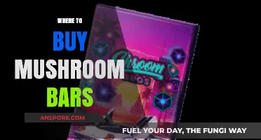Discover Top Retailers for Mushroom Bars: A Comprehensive Buying Guide