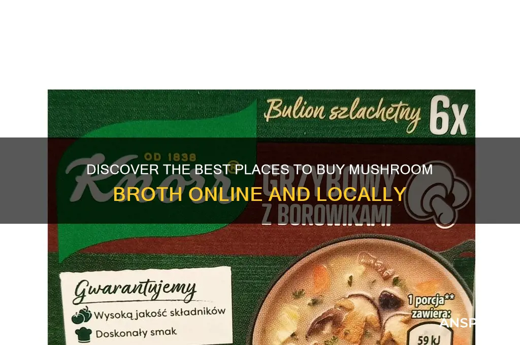 where to buy mushroom broth