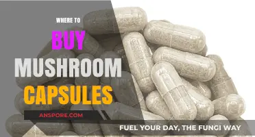 Top Sources for Buying High-Quality Mushroom Capsules Online