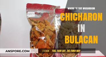 Discover Bulacan's Best Spots to Buy Mushroom Chicharon Snacks