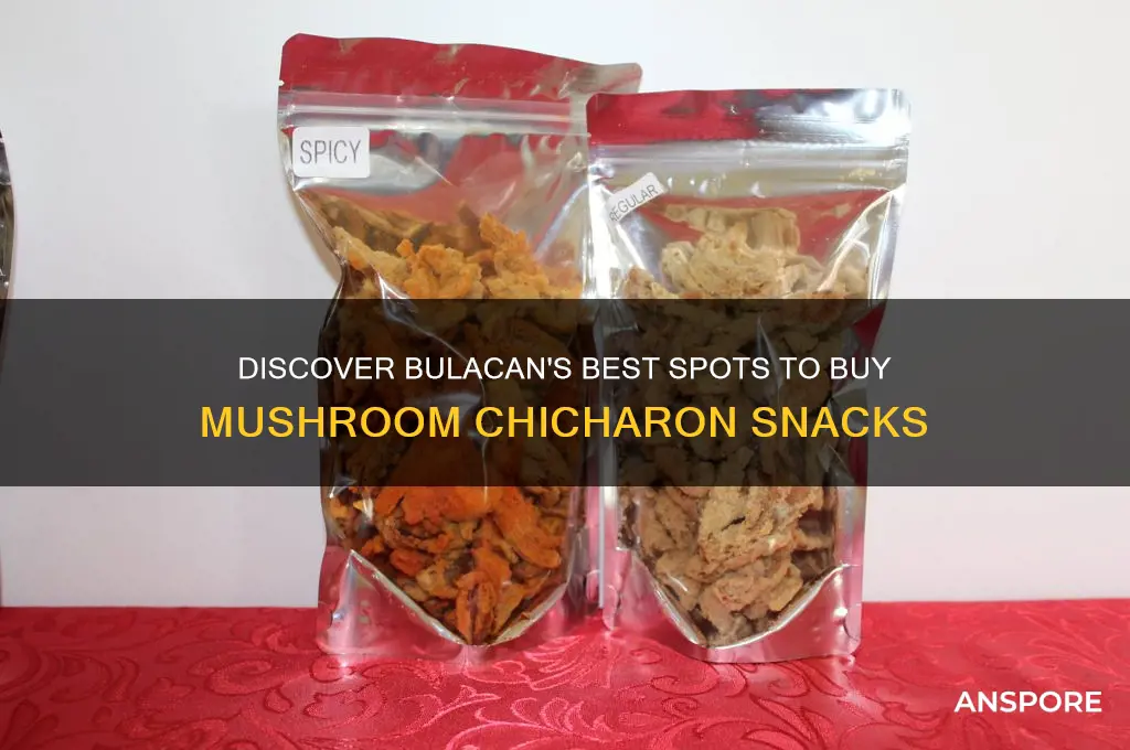 where to buy mushroom chicharon in bulacan