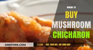 Discover the Best Places to Buy Crispy Mushroom Chicharon