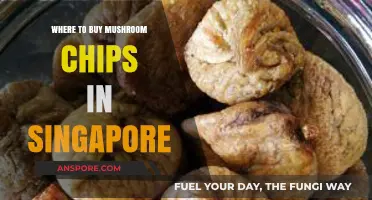 Discover Singapore's Best Spots to Buy Tasty Mushroom Chips