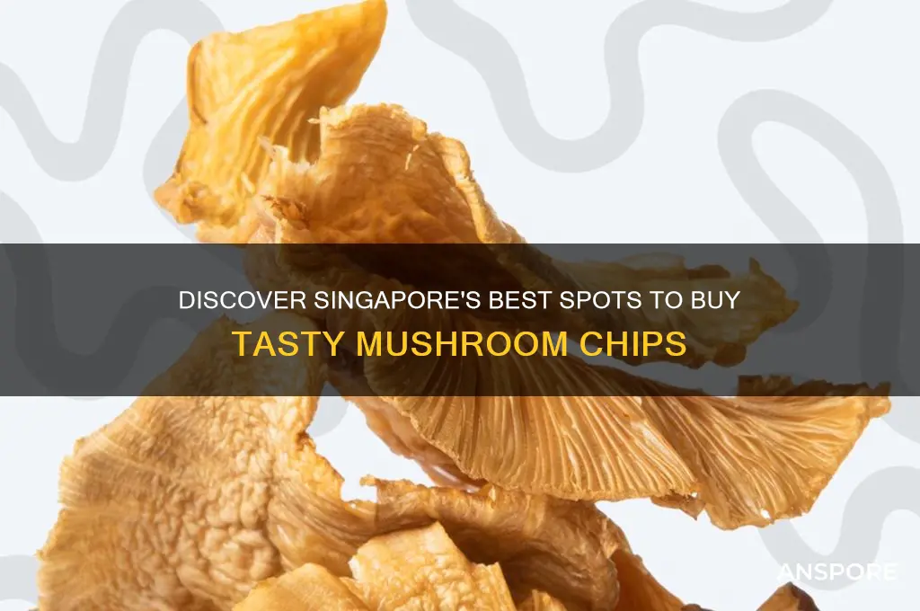 where to buy mushroom chips in singapore