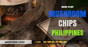Discover the Best Spots to Buy Mushroom Chips in the Philippines