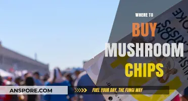 Discover the Best Places to Buy Mushroom Chips Online & In-Store