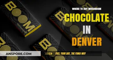 Discover Denver's Best Spots for Mushroom Chocolate Purchases