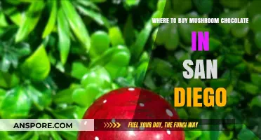 Discover San Diego's Best Spots for Mushroom Chocolate Purchases