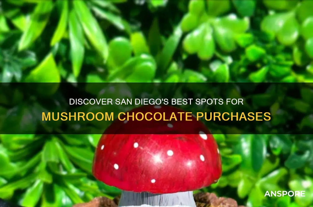 where to buy mushroom chocolate in san diego