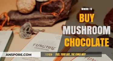 Discover the Best Places to Buy Mushroom Chocolate Online