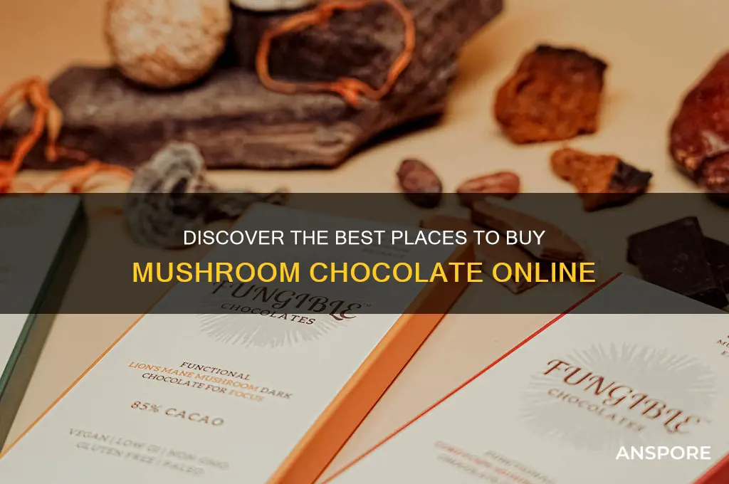 where to buy mushroom chocolate