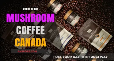 Discover the Best Places to Buy Mushroom Coffee in Canada