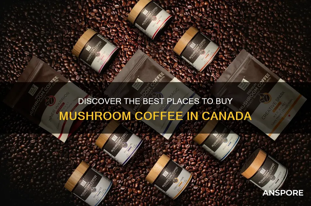 where to buy mushroom coffee canada