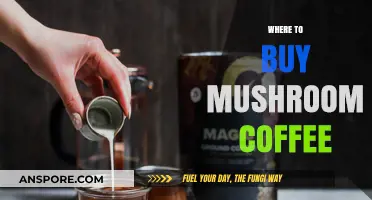 Discover the Best Places to Buy Mushroom Coffee Online