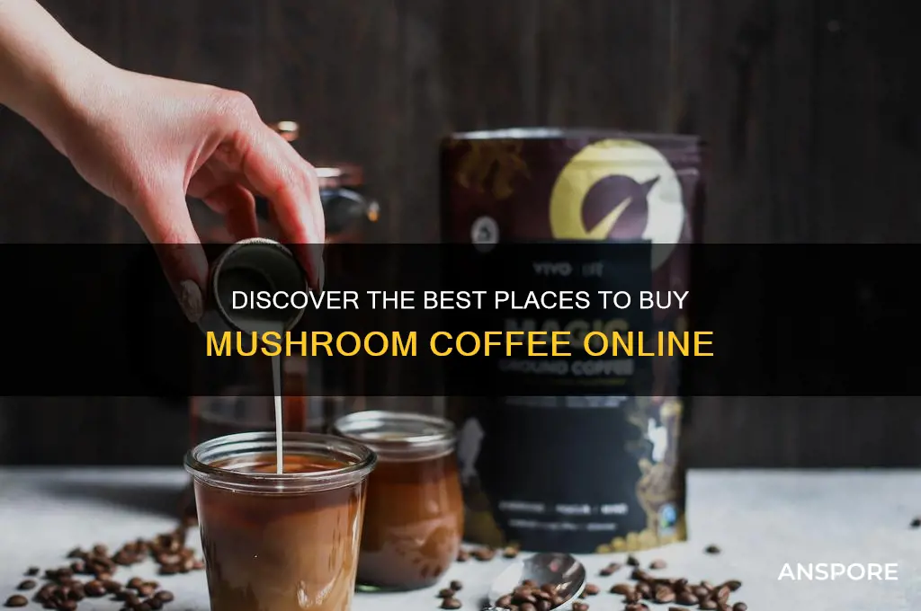 where to buy mushroom coffee