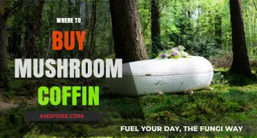 Eco-Friendly Farewell: Top Places to Purchase Mushroom Coffins