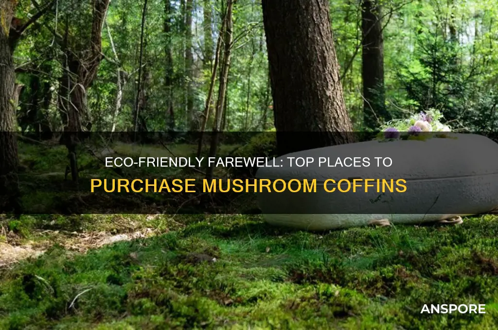 where to buy mushroom coffin