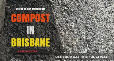 Brisbane's Best Spots to Buy Mushroom Compost for Gardening