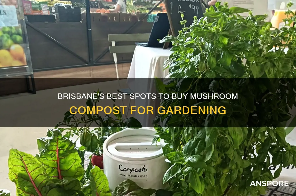 where to buy mushroom compost in brisbane