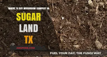 Best Places to Buy Mushroom Compost in Sugar Land, TX