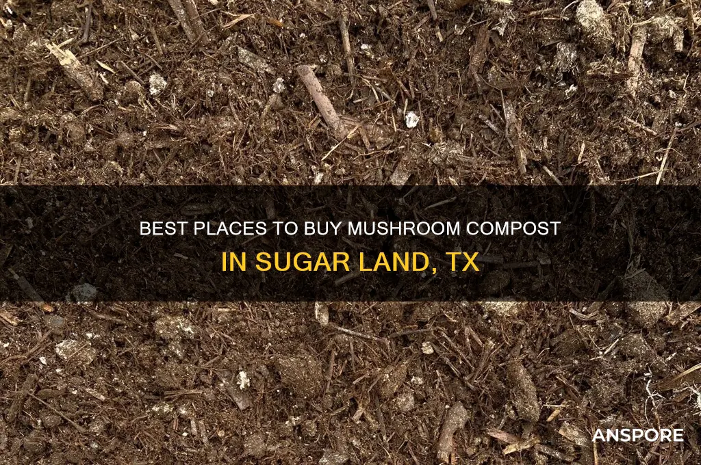 where to buy mushroom compost in sugar land tx