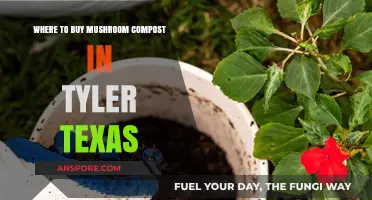 Best Places to Buy Mushroom Compost in Tyler, Texas