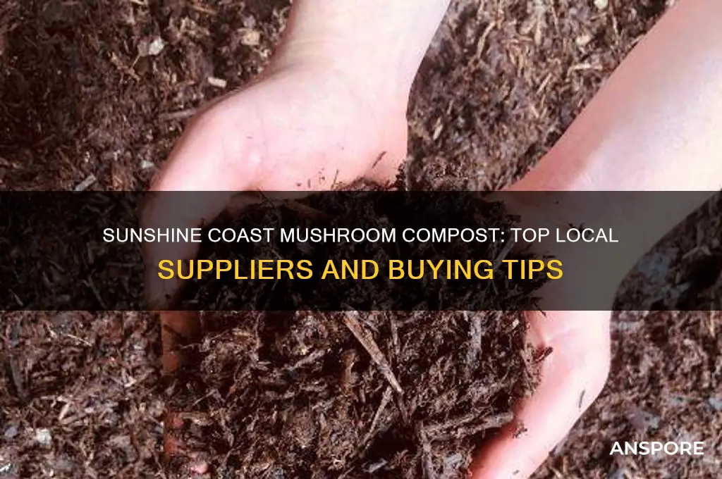 where to buy mushroom compost sunshine coast