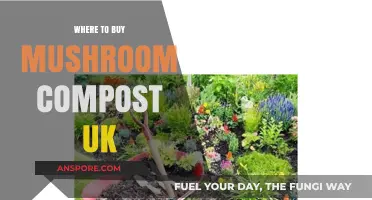 Best Places to Buy Mushroom Compost in the UK: A Guide