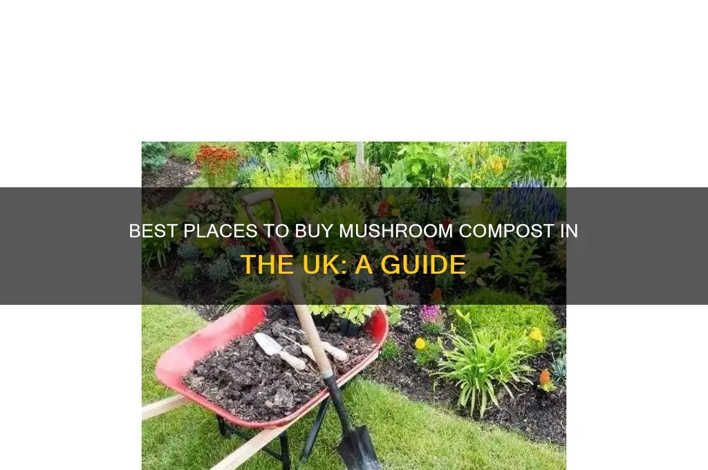 where to buy mushroom compost uk