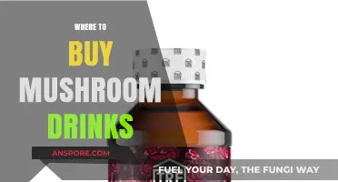 Discover the Best Places to Buy Mushroom Drinks Online & In-Store