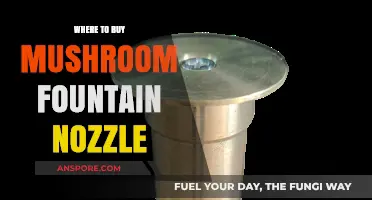 Best Places to Purchase Mushroom Fountain Nozzles for Your Garden