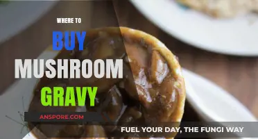 Discover the Best Places to Buy Mushroom Gravy Online & In-Store