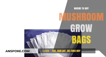 Best Places to Purchase Mushroom Grow Bags for Cultivation