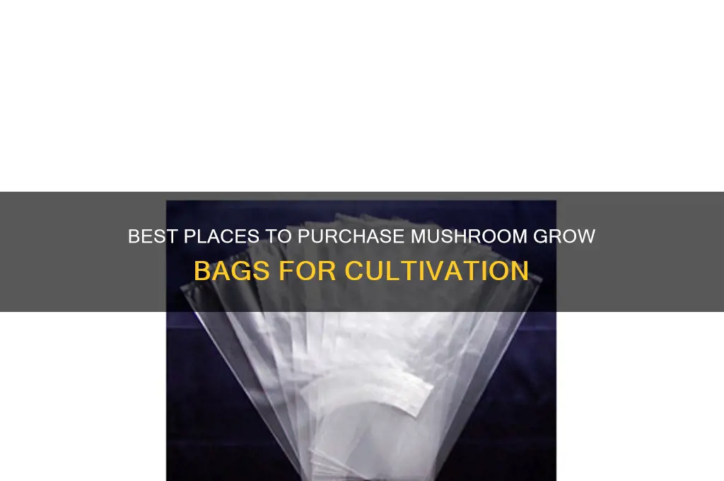 where to buy mushroom grow bags
