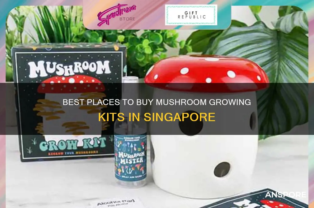 where to buy mushroom growing kit in singapore