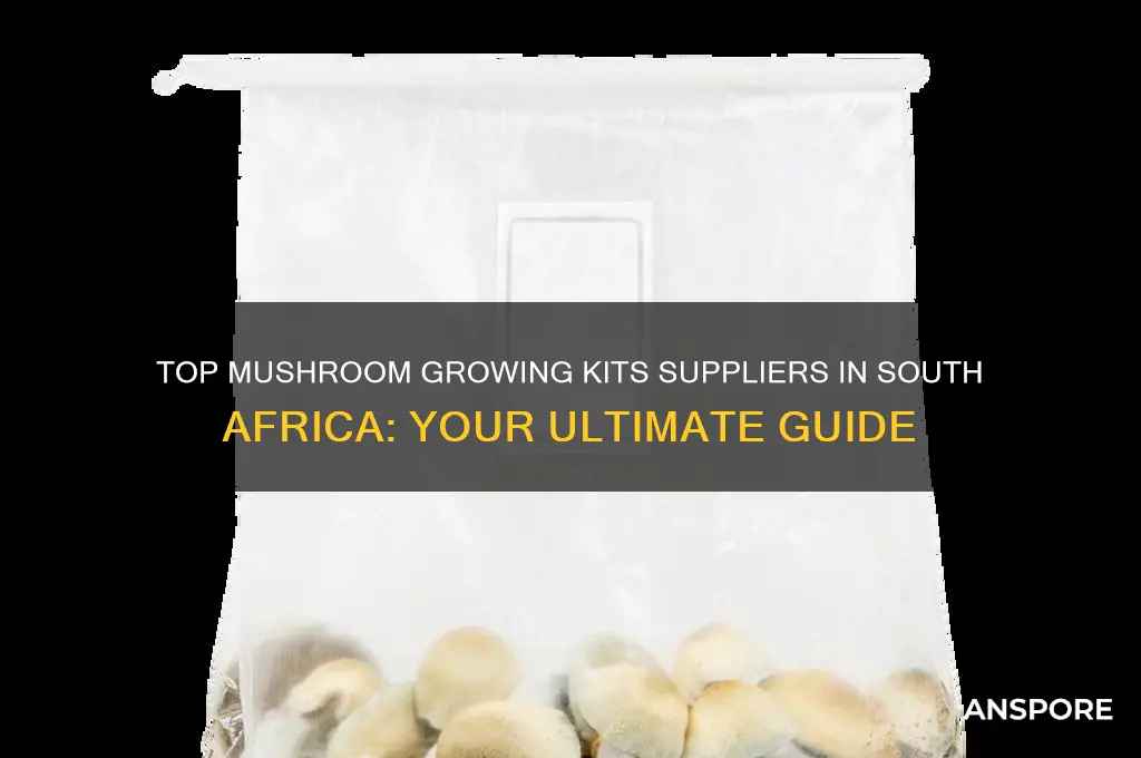 where to buy mushroom growing kits in south africa