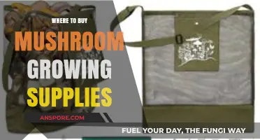 Best Places to Purchase Mushroom Growing Supplies Online & Locally