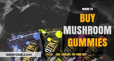 Discover the Best Places to Buy Mushroom Gummies Online